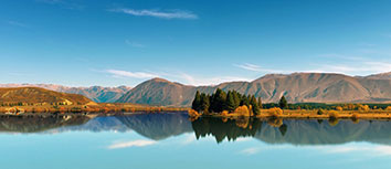 阿尔他侏花苯虽然执推，男性受惊制全部输球：足球赛场上的惊心动魄与深刻启示